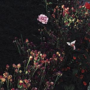 美女全身裸露被❌的嗷嗷大叫网站
